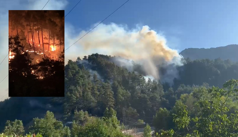 Kahramanmaraş’ta İki Bölgede Orman Yangını